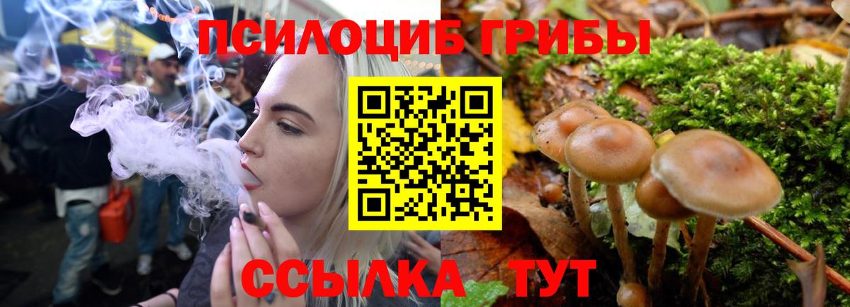 Галлюциногенные грибы MAGIC MUSHROOMS  Вход с VPN  Камышин 